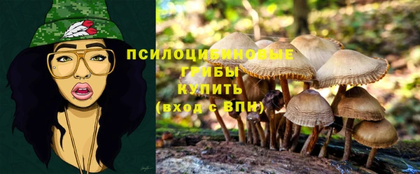 ALPHA PVP Аркадак