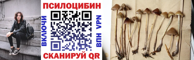 Псилоцибиновые грибы мухоморы  Гремячинск 